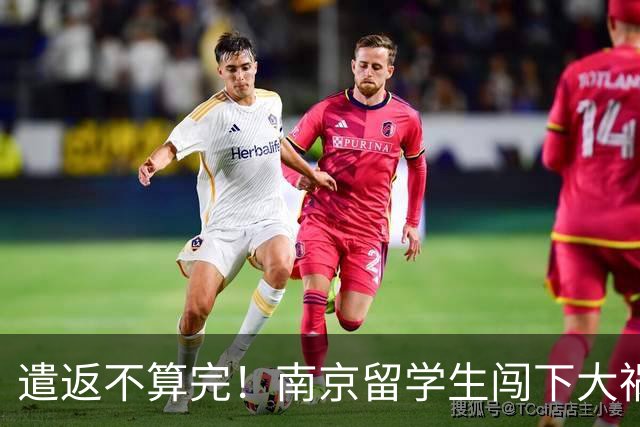 遣返不算完！南京留学生闯下大祸，回国之后四道难关在等着他